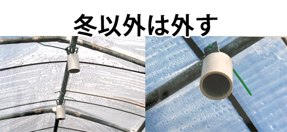 木らく棒®を使用したハウス